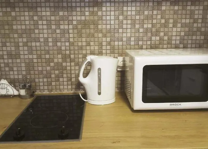 Taikos 7 דירה קלייפדה